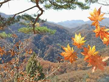 制作精良的宣传视频，助力广告公司脱颖而出